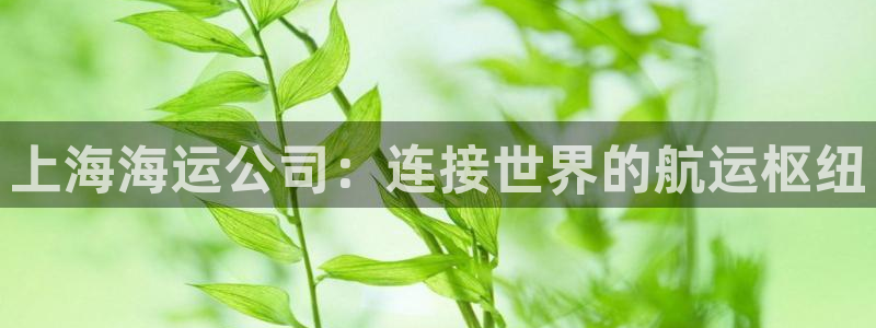 欢迎来到公赌船