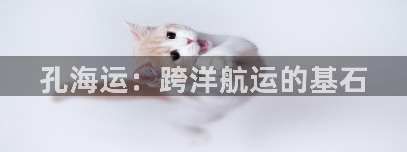 欢迎来公海欢迎来到船701