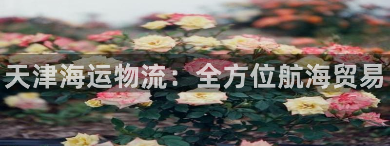 公海赌赌船最新版本更新内容
