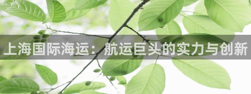 公海赌赌船官网