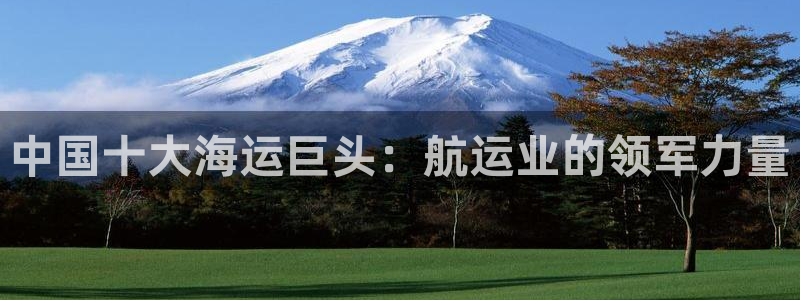 公海赌博怎么处理