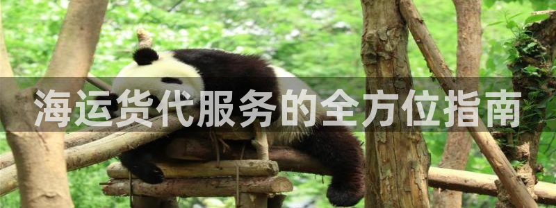 公海赌赌船官网710忘记账号了