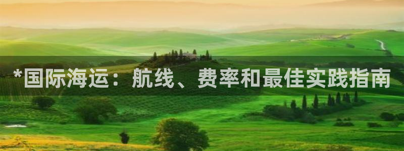 公海赌赌船官网