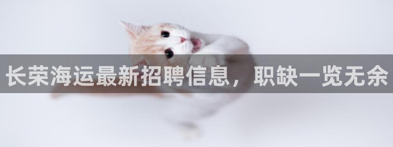 公海赌船赌博