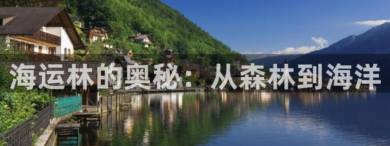 公海赌赌船手机下载