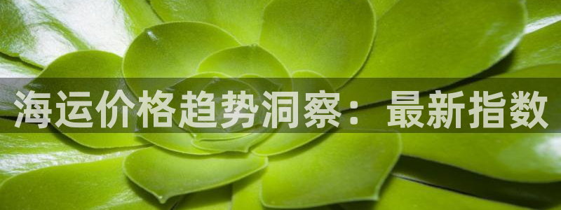 欢迎你来到公海欢迎你来到
