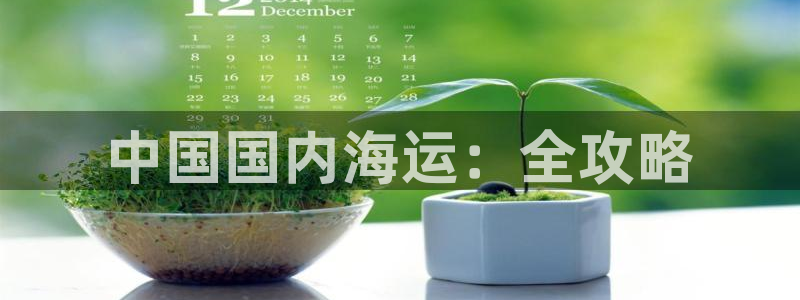 欢迎来到g港