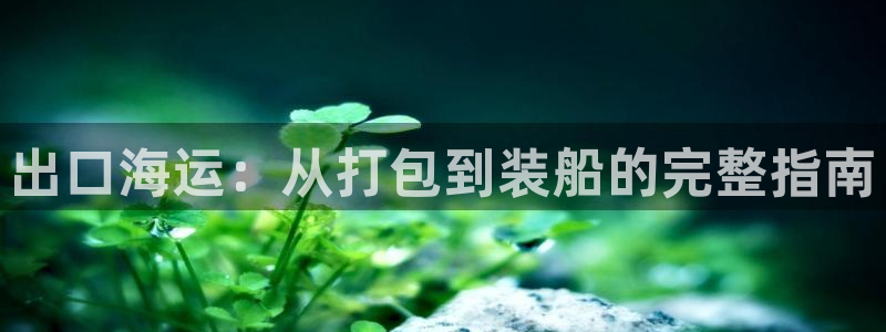 欢迎你来到公主的海岛
