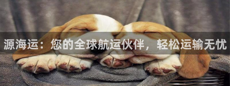 欢迎来公海欢迎来到船701
