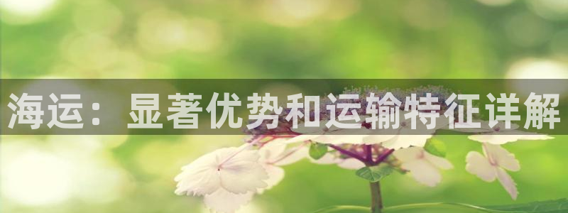 公海赌赌船贵宾会员检测路线