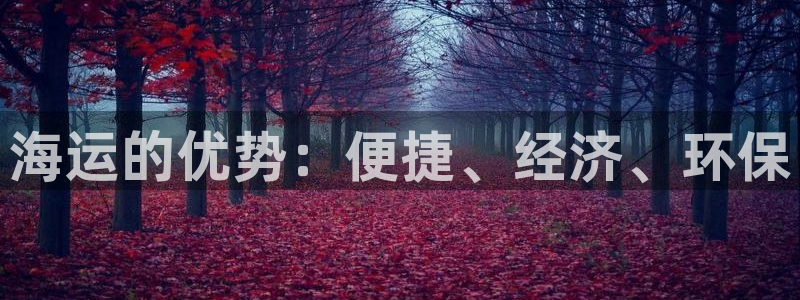 公海赌赌船官网可以做代理吗