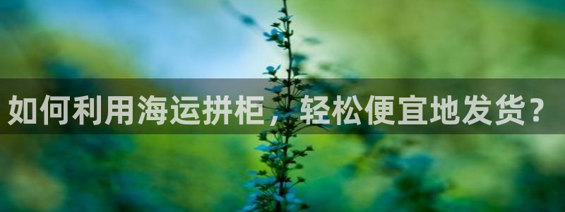 公海赌钱很大吗