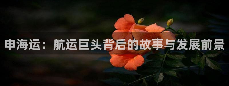 去公海赌博合法吗