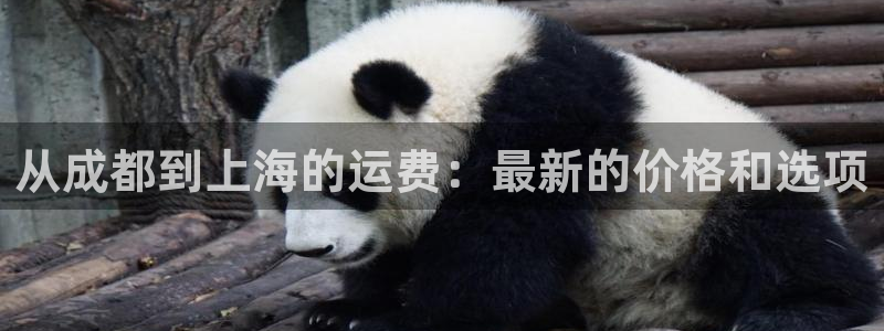 欢迎你来到 公主的海岛
