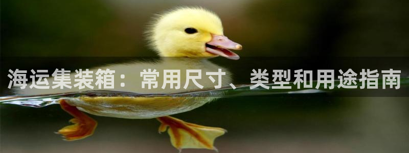 欢迎来公海欢迎来到赌船!