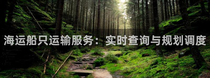 公海赌博怎么处理