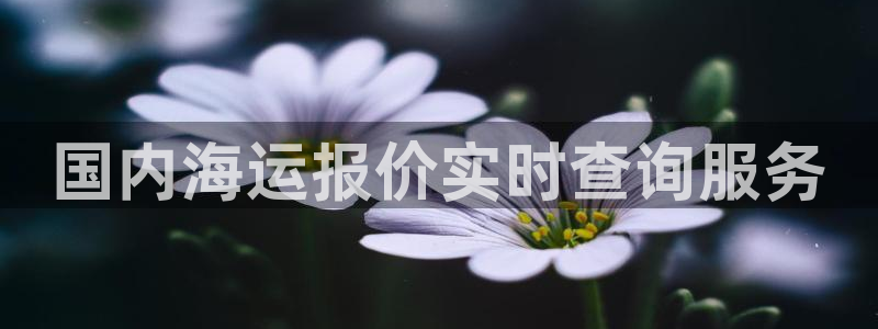 欢迎来到公海欢迎来到赌船!!