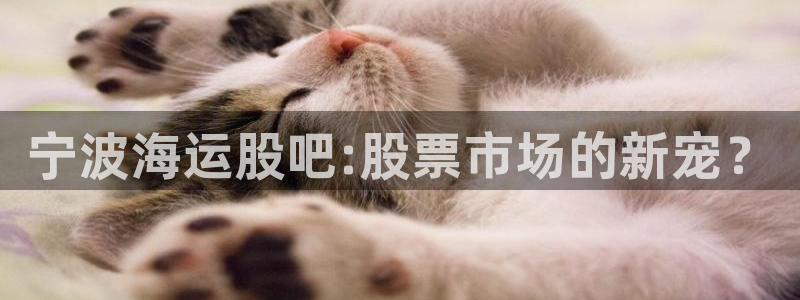 公海赌赌船快速充值
