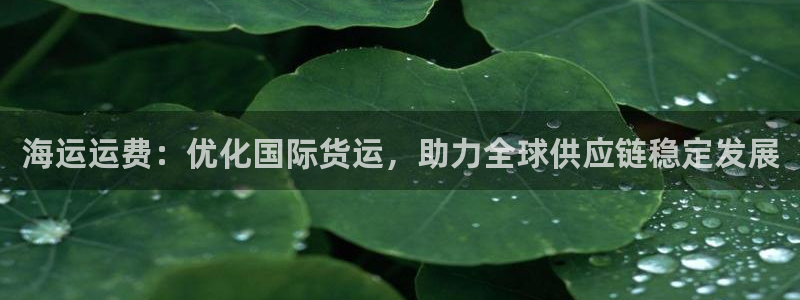 公海赌赌船系统维护要多久