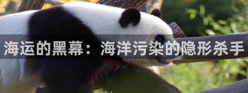 公海赌博怎么处理