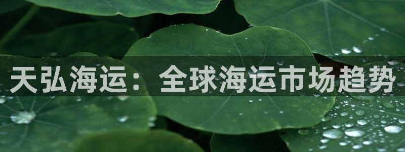 公海欢迎来到