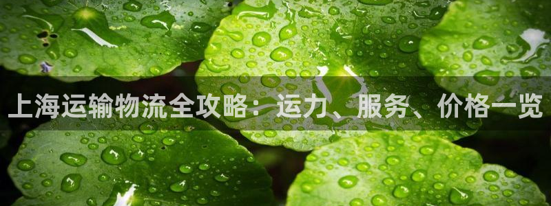 欢迎上船