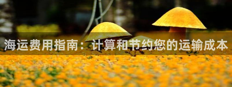 公海赌赌船官网真的吗