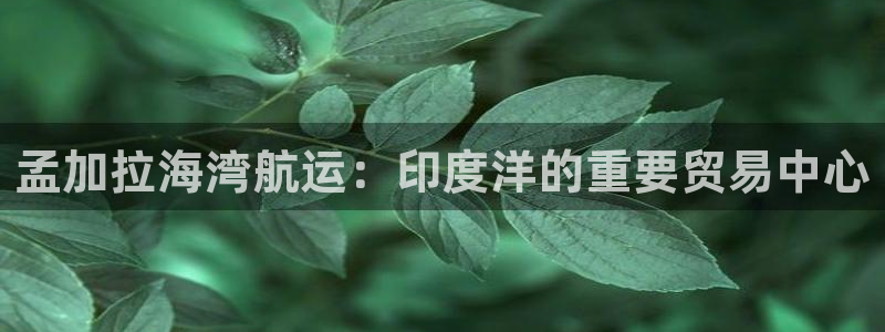 欢迎来公海欢迎来赌船欢迎