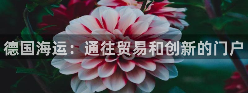公海赌船吧