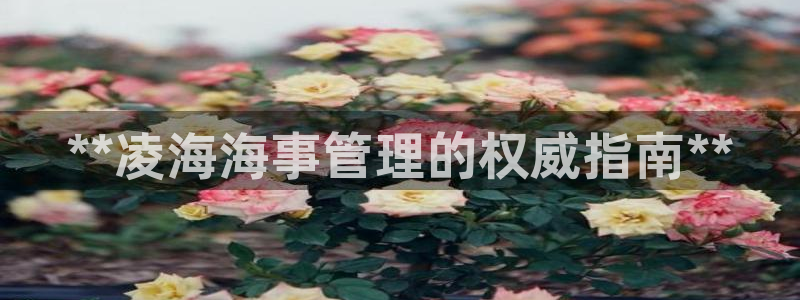 欢迎公海来到赌船710