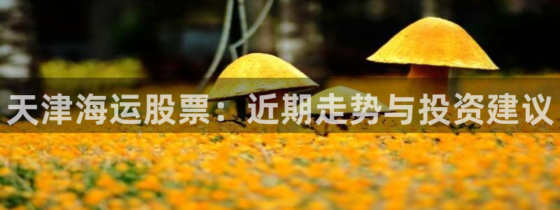 公海赌赌船官网图标