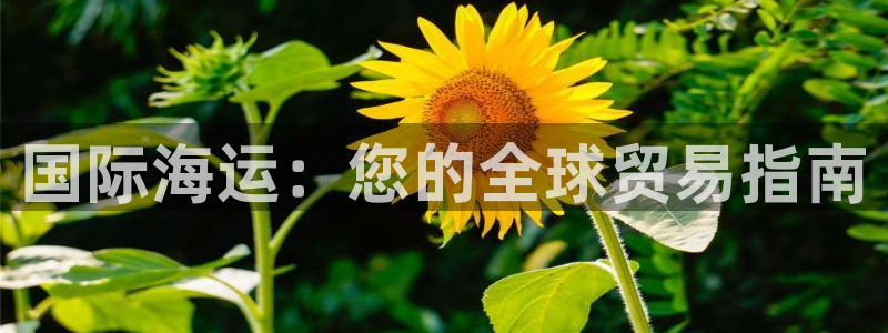 公海赌钱很大吗