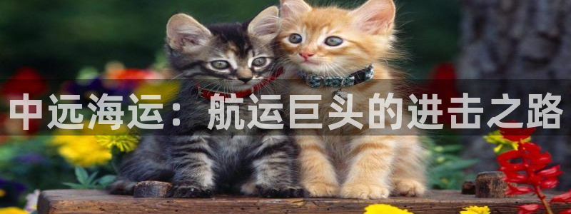 公海赌船贴吧
