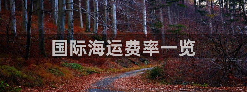 欢迎来到公海710官网