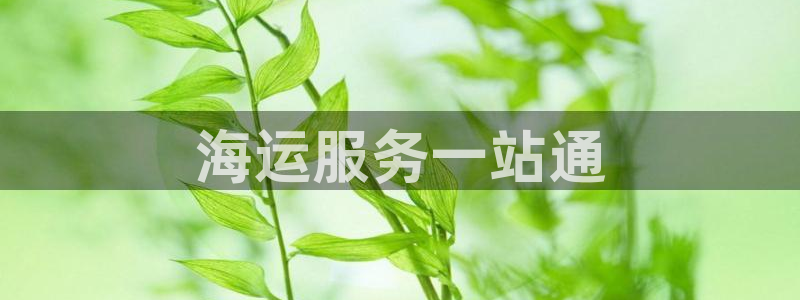 公海赌船吧