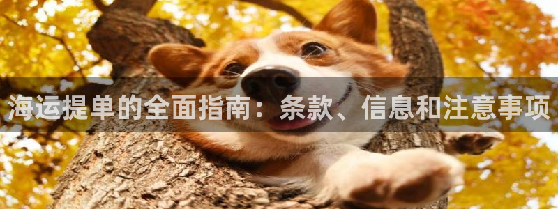 欢迎您来到公海欢迎您来到赌船