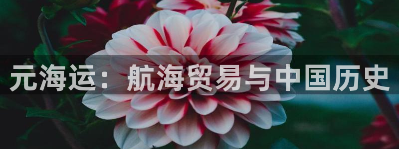 欢迎来到公海欢迎来到