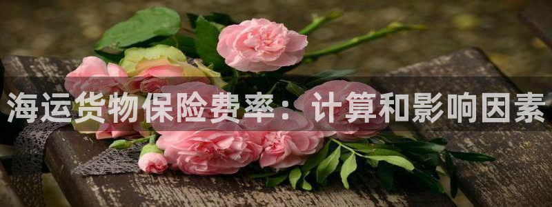 公海赌船官方