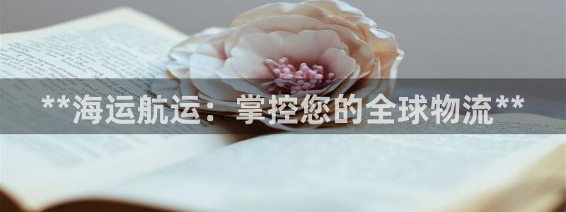 欢迎来到海边