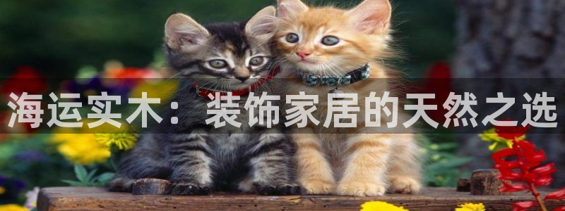 欢迎公海来到赌船710_首页(欢迎您)