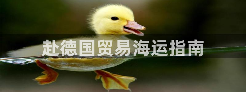 公海赌赌船官网真的吗