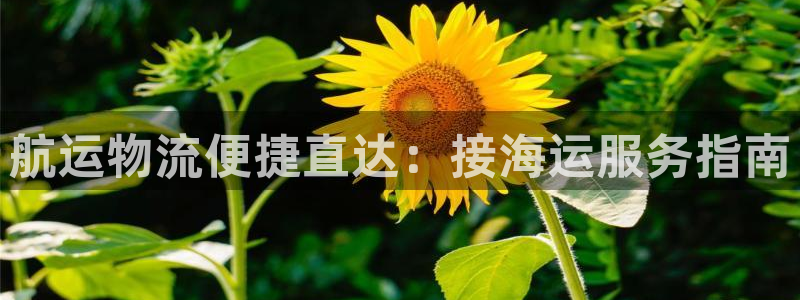 欢迎来到公海