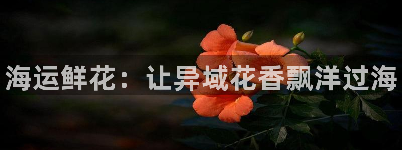 公海赌赌船官网图标