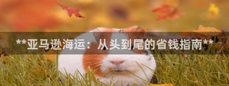 公海欢迎来到