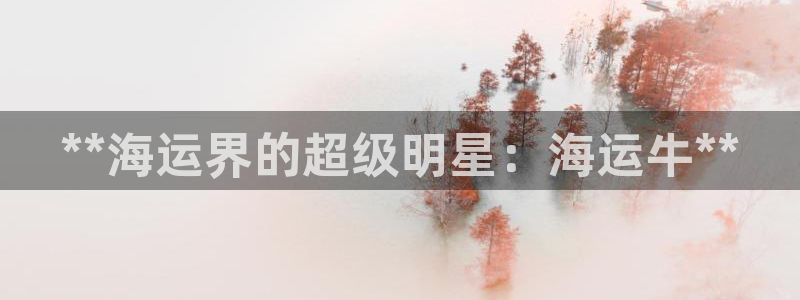 公海赌船网页