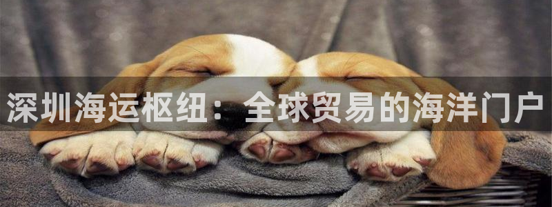 欢迎来公海欢迎来到船701
