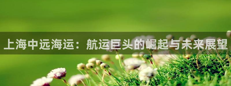 公海欢迎来到