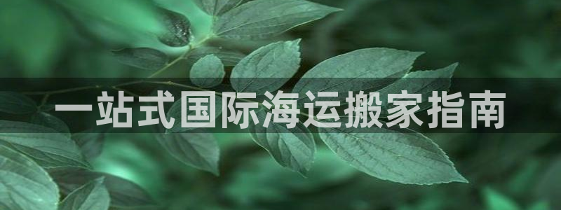 欢迎来到公海