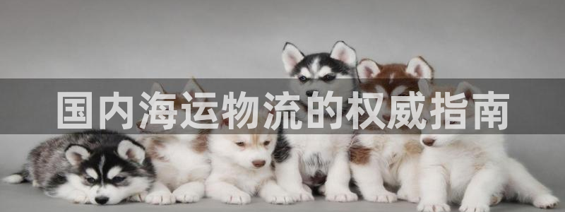 公海赌赌船官网可以做代理吗