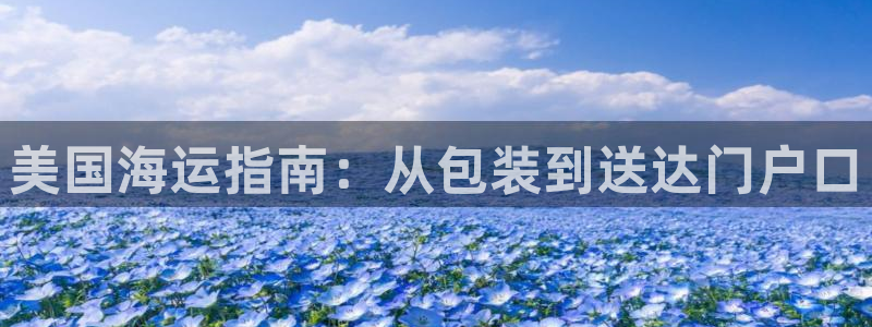 欢迎来到公海电脑版